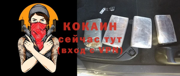 шишки Гусев