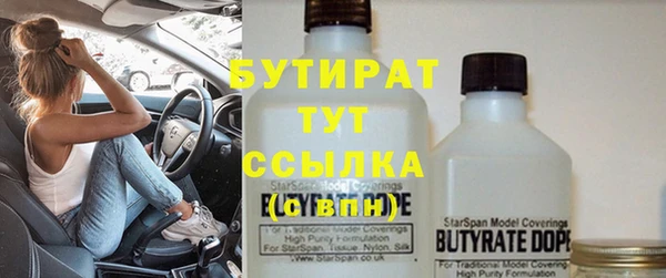 шишки Гусев