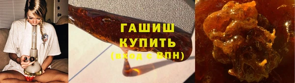 шишки Гусев