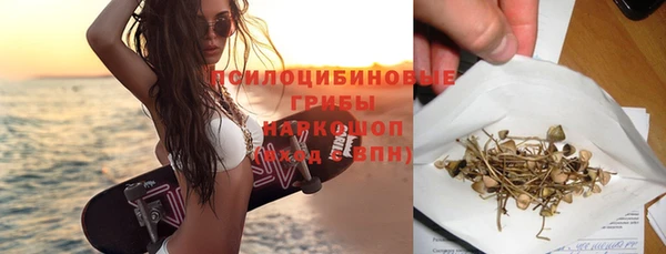 apvp Вязьма