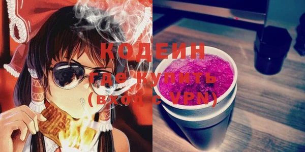 шишки Гусев