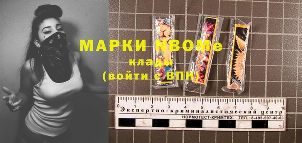 ГАЛЛЮЦИНОГЕННЫЕ ГРИБЫ Гусь-Хрустальный