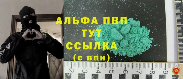 шишки Гусев