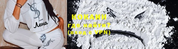 шишки Гусев
