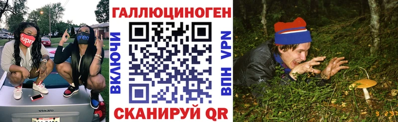 KRAKEN ссылки  Ельня  Псилоцибиновые грибы мухоморы 